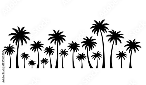 Decorative palm tree silhouettes vector set for posters and banners