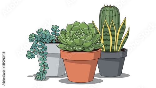A vibrant illustration of diverse potted succulents and cacti offering indoor garden charm