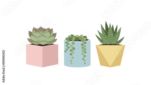 A delightful minimalist illustration showcasing a trio of vibrant potted succulents adding fresh botanical charm and modern aesthetic appeal to any