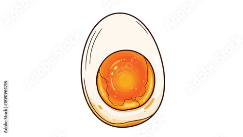 Perfectly Cooked Egg Cross-Section Illustration with Golden Yolk and White