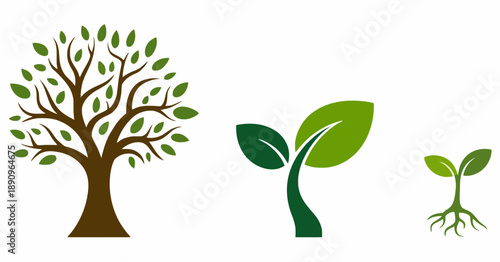 Stylized tree and plant growth stages with green leaves and brown trunk seedling sprout