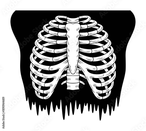 White human rib cage skeleton black background with dripping effect ribcage anatomy