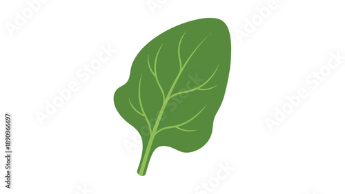 A vibrant green leaf illustration symbolizing freshness, healthy eating, and organic produce. Perfect for natural food advertising and wellness