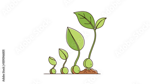 Visual timeline of plant development from seed to flourishing young sprout, illustrating growth and renewal