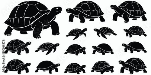 Collection of black silhouette turtles on white background tortoise animal