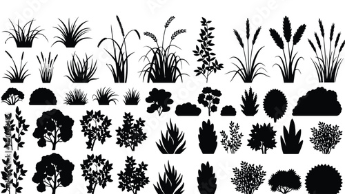 A collection of various plant silhouettes on a white background