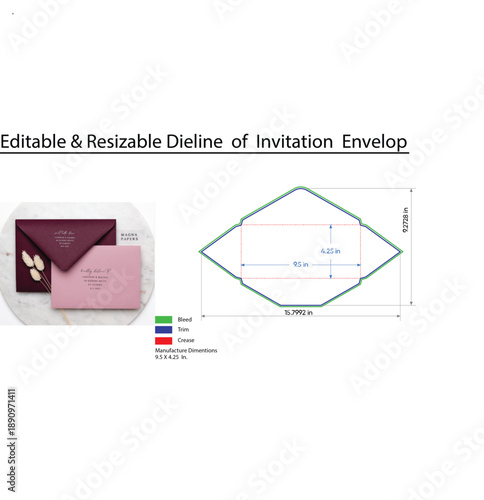 Editable Resizable Dieline of Pink Invitation Envelope with Dimensions