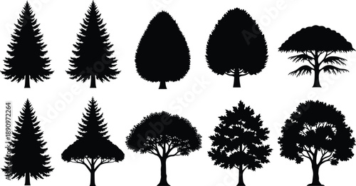 Tree silhouette collection featuring conifer and deciduous forest shapes isolated on white background nature landscape black vector illustration