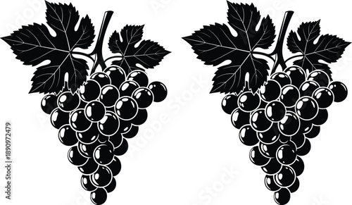 Black Grape Cluster Silhouette Illustration With Leaves, Isolated Organic Fruit Vector Design In Minimalist Monochrome Style