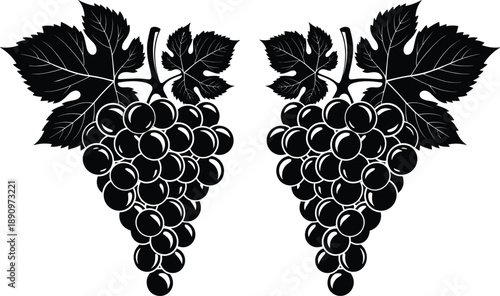 Black silhouette of symmetrical grape clusters with leaves in stylized design for vineyard, wine, fruit, and botanical artwork use
