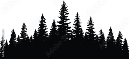 Dense evergreen pine forest silhouette landscape with tall conifer trees forming dramatic natural skyline black vector illustration background