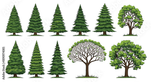 Collection of detailed tree illustrations including several types of evergreen pines and lush green deciduous trees on a white background.