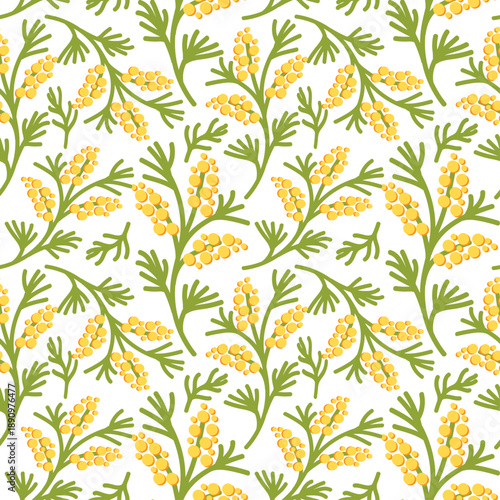 Seamless pattern with yellow flowers and mimosa leaves on white background. Vector illustration for spring holiday design, Mother's  or International Women's Day