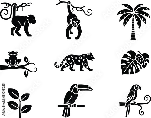 Tropical jungle animals and plants in silhouette illustrations