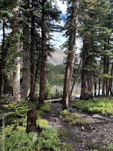 Alpine Forest and Mountain Lake in Boulder, Colorado with Pine Trees and Clear Water