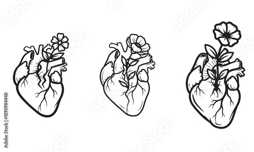 Anatomical Hearts With Flowers Line Art bloom growth