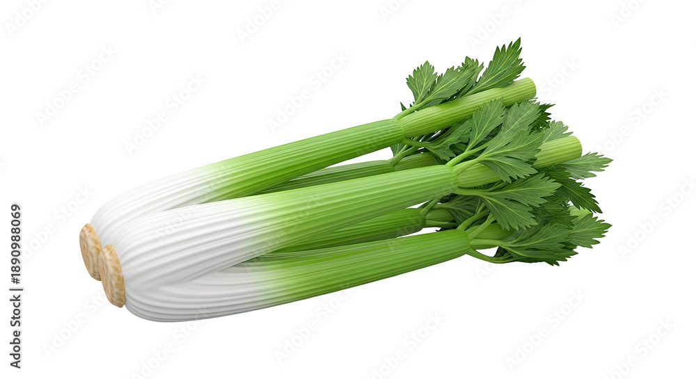 Fototapeta premium Fresh Celery Stalks with Leaves