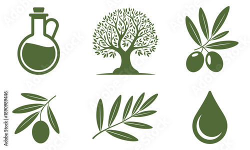 Collection of olive oil related including a bottle tree olives and a drop