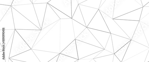 white polygon background - Vector.eps 10