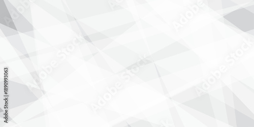 Abstract background with white and gray and geometric style with simple lines and corners, polygons as background geometric style with simple lines and corners, polygons as background paper texture