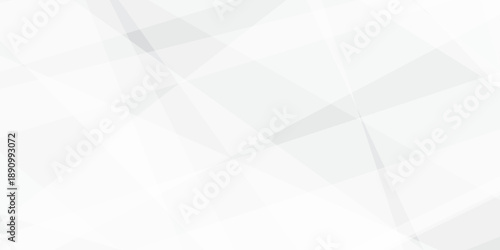 Abstract background with white and gray and geometric style with simple lines and corners, polygons as background geometric style with simple lines and corners, polygons as background paper texture