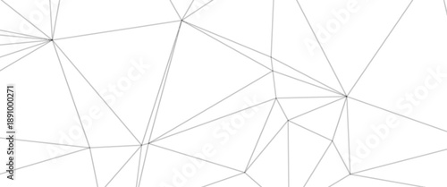 white polygon background - Vector.eps 10