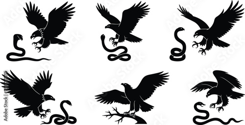 Black and white vector silhouette set featuring bald eagles in flight hunting and interacting with venomous snakes for nature wildlife and danger graphic design
