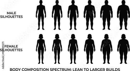 Male and female body composition silhouettes showing lean to larger builds spectrum human anatomy shapes comparison fitness health education infographic illustration