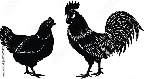 Rooster and hen silhouettes facing each other showing farm poultry animals rural agriculture livestock concept isolated on white background black vector illustration