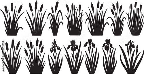 Black silhouettes of various plants and flowers on white