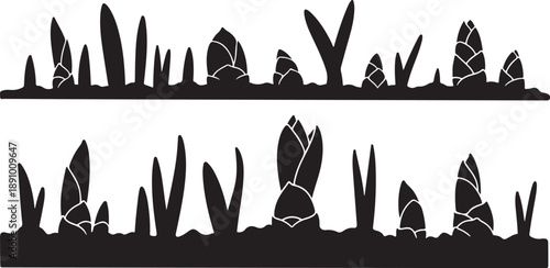 Black Silhouette of Various Plants and Leaves on White