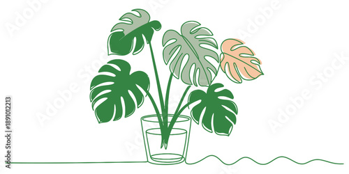 A minimalist single line illustration of a monstera plant in a glass of water Vector, illustration