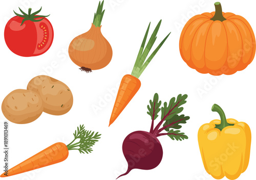Ripe Vegetable Vector Set with Tomato Pumpkin Carrot and Root Vegetables on White Background
