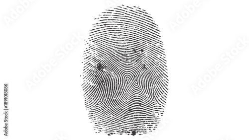 Close up of a black fingerprint on a white background detailed texture and pattern visible