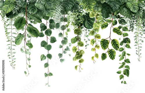 Watercolor illustration showcasing cascading green foliage with various leaf shapes and textures