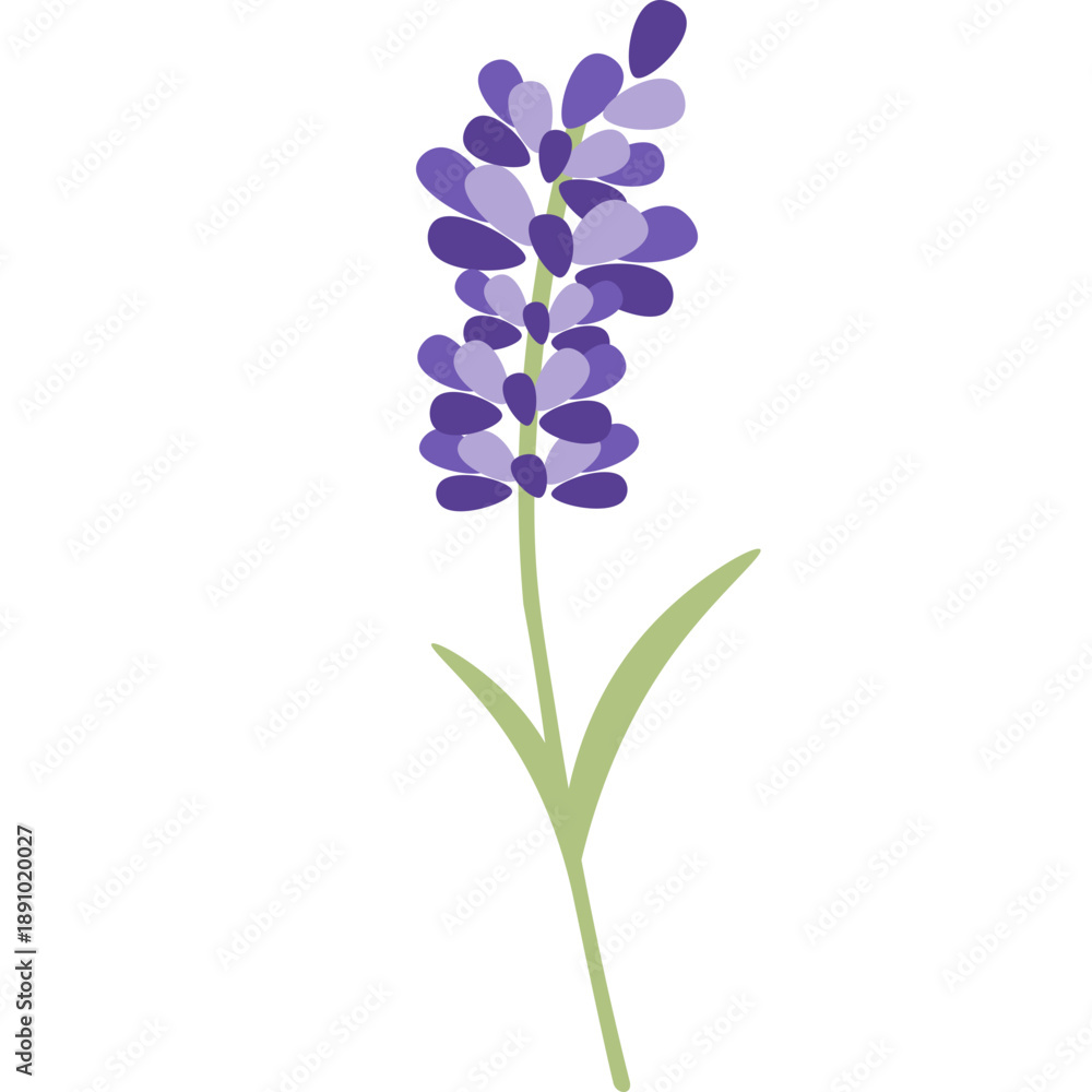 Obraz premium Cute Flower Illustration