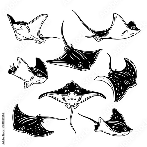 Majestic stingrays swimming in ocean depths with elegant movements