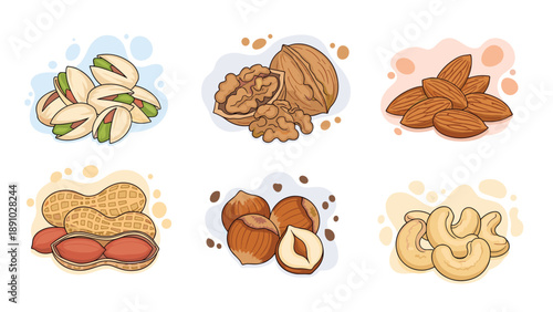 Extensive selection of healthy nuts including pistachios, walnuts, almonds, peanuts, hazelnuts, and cashews in organized groups.