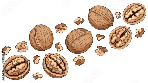 Collection of whole walnuts in shells and shelled kernels scattered in a diagonal composition on a white background.