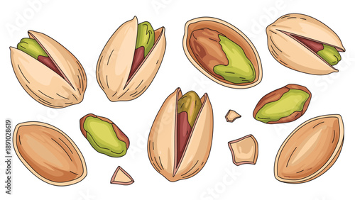 Detailed collection of assorted pistachio nuts featuring whole shells, partially opened shells, and green kernels on a white background.