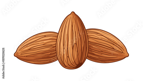 Trio of whole raw almonds arranged together on a plain white background, showcasing their natural brown skin and distinctive textured surface.