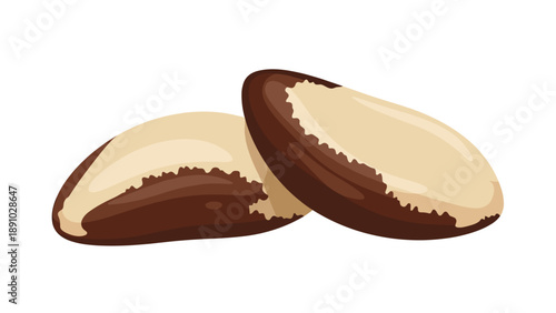 Pair of large organic Brazil nuts featuring their characteristic dark brown skin and creamy interior isolated on a clean white background.