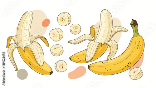 Comprehensive set of banana illustrations featuring a whole yellow fruit, partially peeled bananas, and round slices on a white background.