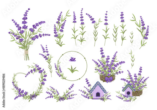 Vector illustration of lavender set. Set of elements from lavender flowers.