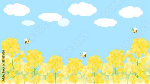 青空に映える菜の花畑をイメージしたイラスト　16：9バージョン