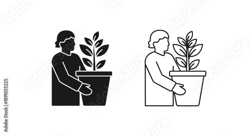 Plant care indoor gardening potted plants