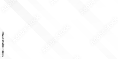 Gray abstract line with white architecture futuristic background minimal concept simple