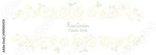 白い背景に白いバラが並んだベクターイラスト