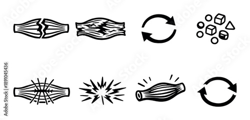Comparative anatomy of skeletal, cardiac, and smooth muscle tissue