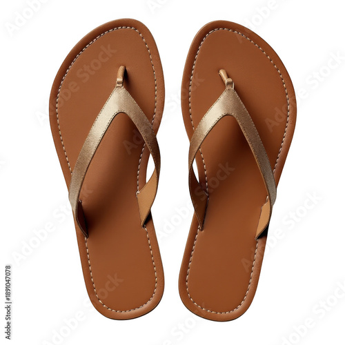 Elegant brown leather flip flops isolated on transparent background